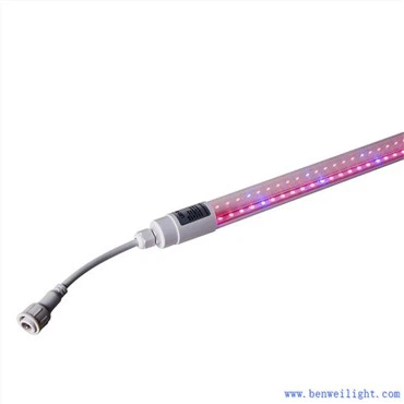 Llums de cultiu per a plantes d'interior