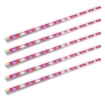 Cultivar plantes d'interior lleugeres