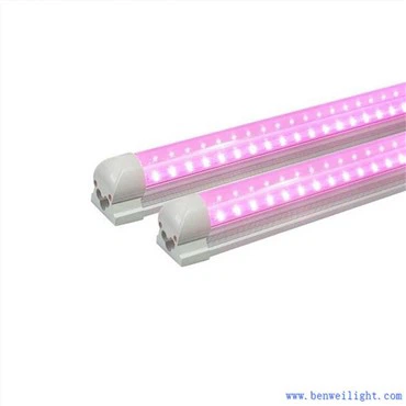 Creixeu la llum a l'interior