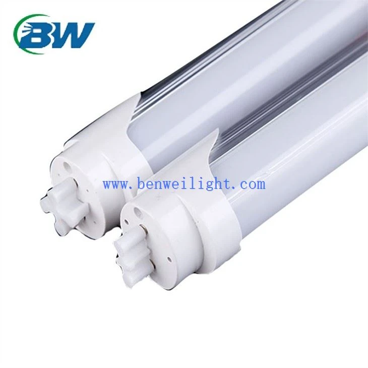 warm white fluorescent tubes