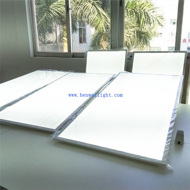 Flush Mount 2x4 Led Panel