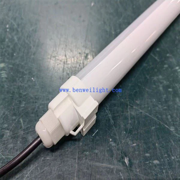 Il·luminació de la casa del porc