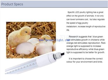 Hores de llum perquè les gallines es 4in