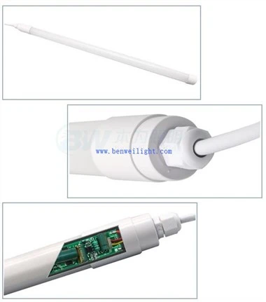 Il·luminació LED en producció avícola