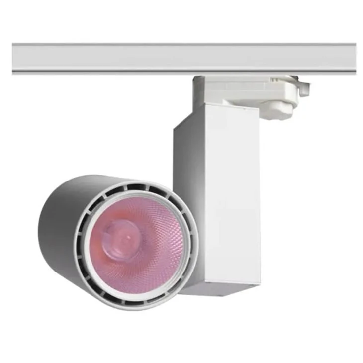 Pink color food track light