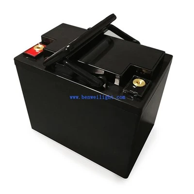 Bateria d'ions de liti 48v 8ah
