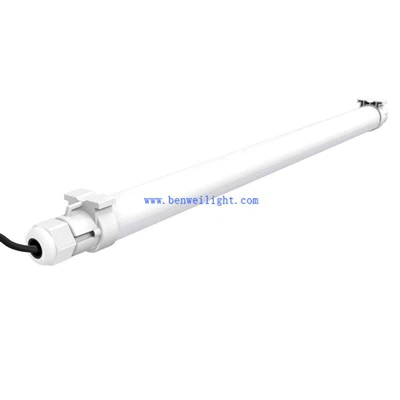 Llum LED d'aus de corral IP67 T12 per a gallines ponedores