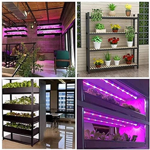 1000 Watt LED Full Spectrum Sunlike Growing Lamp For Indoor Plant With Daisy Chain Function best