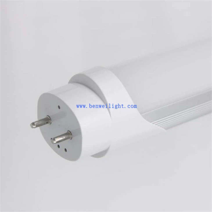 3000K 6W T8 Tube Light (5)