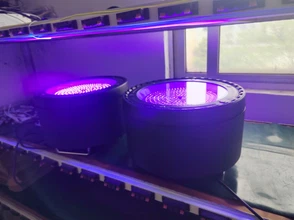 d7cadb0f0640a6e6034fd07573036535 d7cadb0f0640a6e6034fd07573036535