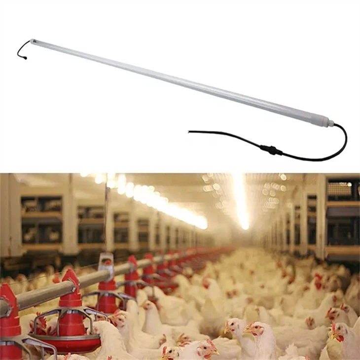 Ip65 IP67 impermeable T5 T8 Led tub regulable d'espectre complet il·luminació d'aus de corral
