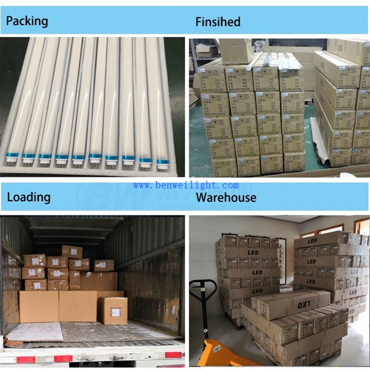 t5 5ft fluorescent tube