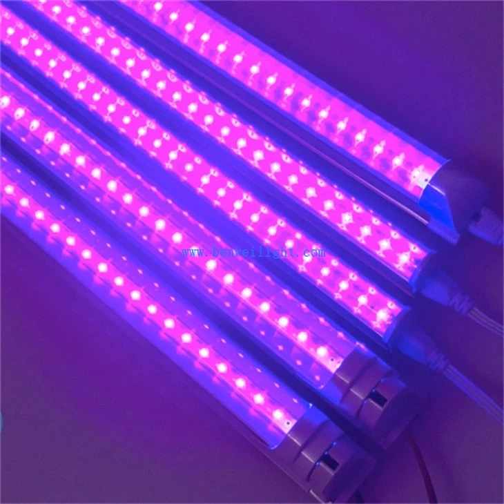 LED Tube Violet Light (4)