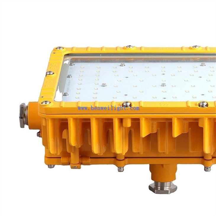 Non-incendive Light (5)