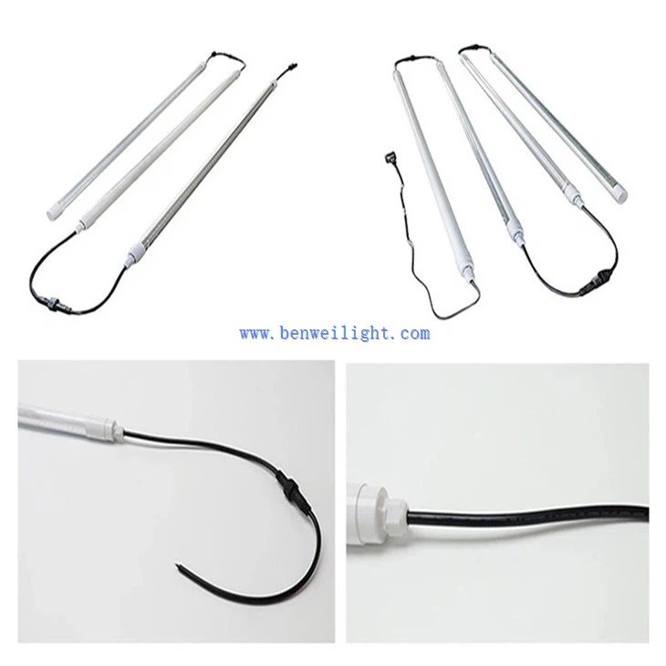 Poultry House Lamp (3)