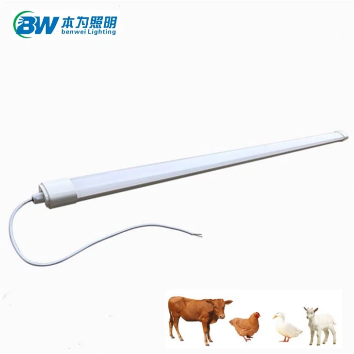 Llums de tub LED d'aus de corral impermeables regulables