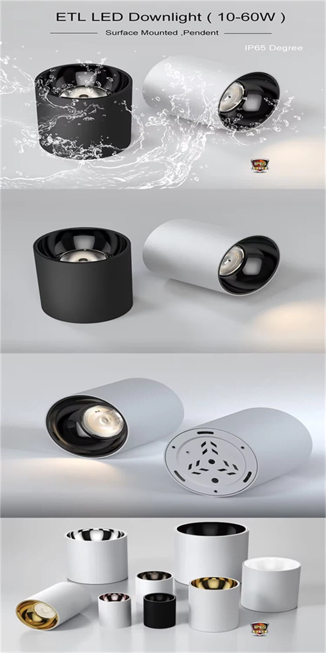 product-650-1300 product-650-1300