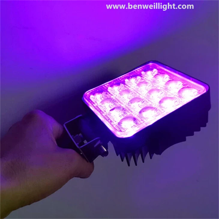 Professional Quick-drying Handheld UV Lamp best