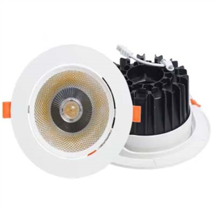 Llum de sostre regulable LED encastat