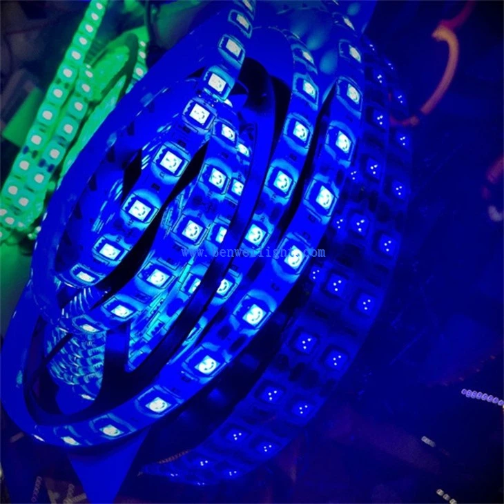 RGB LED Strip Lights for Party Decoration (2)