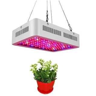Llum LED per al creixement de plantes